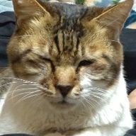 りおなさんのアイコン画像