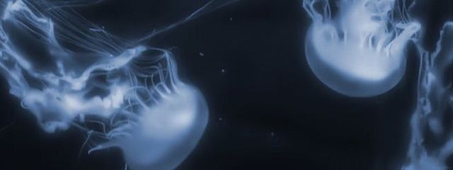 ❥ 重度なショタコン の れうみゃ ♡さんの壁紙画像