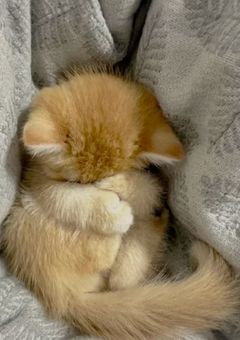 r: