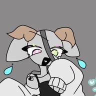 羊飼めりぃさんのアイコン画像