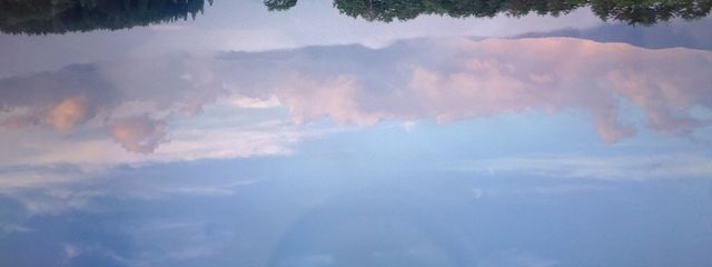 SPELLAさんの壁紙画像