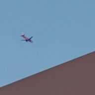 SPELLAさんのアイコン画像