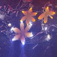 Likoさんのアイコン画像