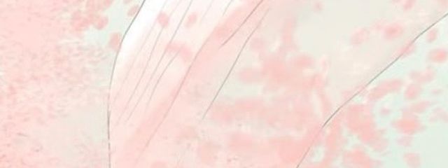 桜（フォロバ）さんの壁紙画像