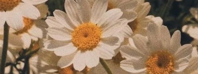 りおさんの壁紙画像