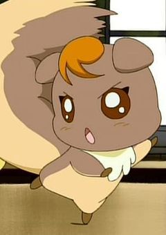 プリキュア5の6人目？！