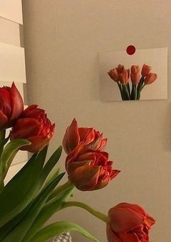 Njsj｜マネージャーなんて希望してません！！