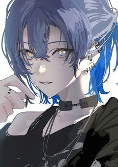 　Nj : 塩系同期のカメラロール
