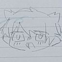 こねしま