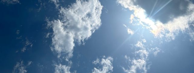 229さんの壁紙画像