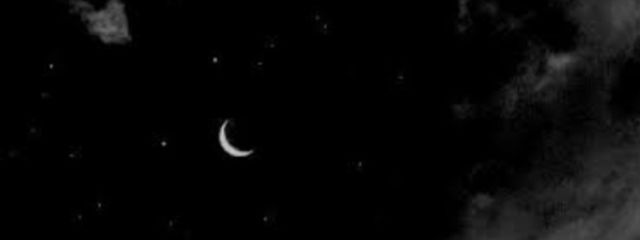 Soa。ﾌｫﾛﾊﾞｾﾞｯﾀｲさんの壁紙画像