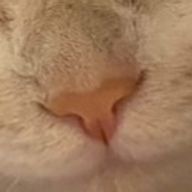 ゆゆさんのアイコン画像