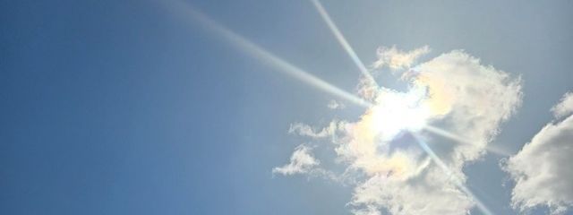おれおさんの壁紙画像