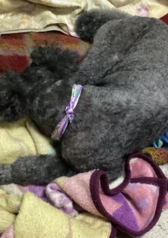 なんで私に頼んでくるの！？