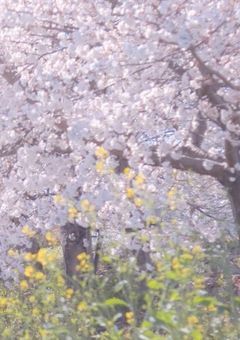 【mrkm】ラブレターはあとで