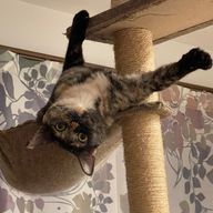 オリーブさんのアイコン画像