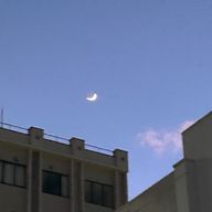 瑠々さんのアイコン画像