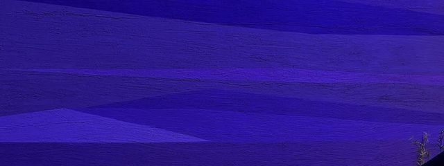 イカ天蕎麦子さんの壁紙画像