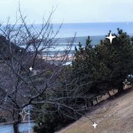 忍たこさんのアイコン画像