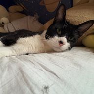 アイラさんのアイコン画像