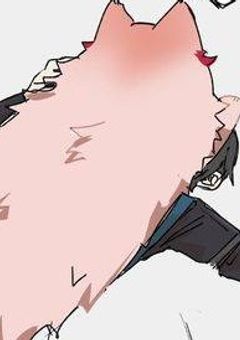 猫、？飼い始めました。