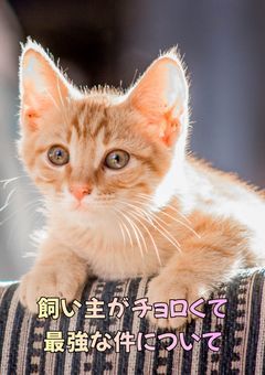 飼い主がチョロくて最強な件について