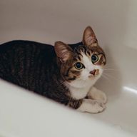 Anna⛄️さんのアイコン画像