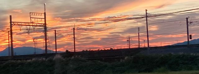 サクラさんの壁紙画像