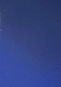 SEVENTEENの紅一点