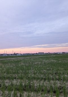 みんなでシェアハウス