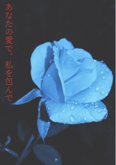 あなたの愛で，私を包んで