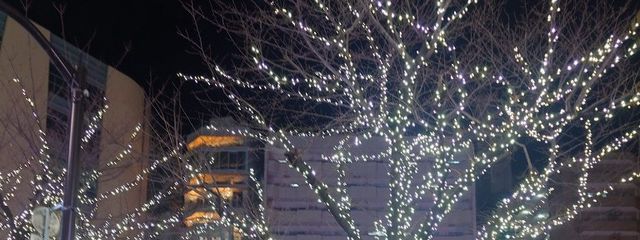 雲瀬雫さんの壁紙画像