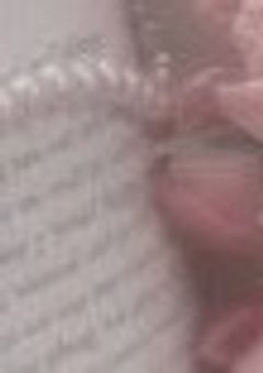 𝐂𝐨𝐮𝐥𝐝 𝐲𝐨𝐮 𝐬𝐚𝐲 𝐭𝐡𝐚𝐭 𝐚𝐠𝐚𝐢𝐧, 𝐩𝐥𝐞𝐚𝐬𝐞.