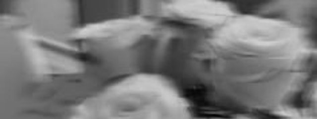 蒼來さんの壁紙画像