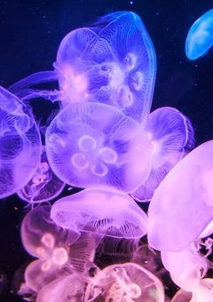  kyng ▹▸﻿ 後輩抱いたらガチにされた