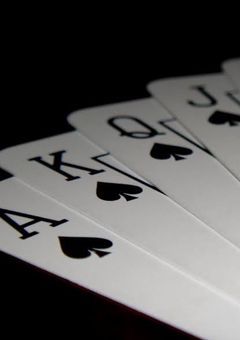 なんでもありなんです