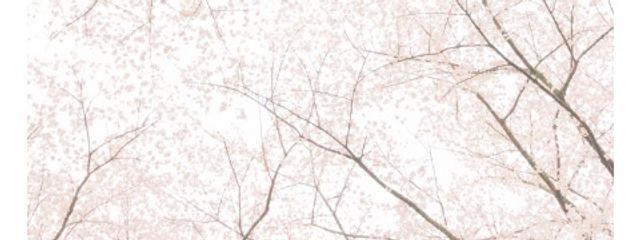 シエラ@多忙につき更新ゆっくり中さんの壁紙画像