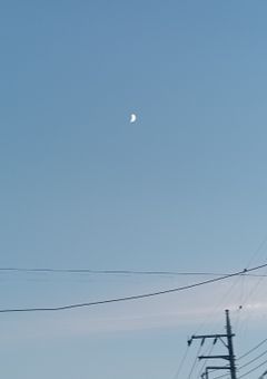 カンヒュは嬉しいけど、愛されすぎじゃねぇ！？