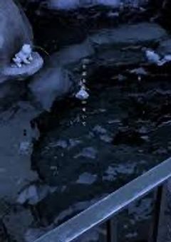 　🥂　"　destiny　。