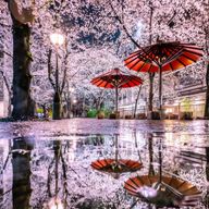 nightmare IIさんのアイコン画像