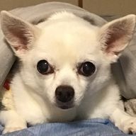 #稲荷愛桃さんのアイコン画像