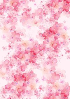 cherry blossom