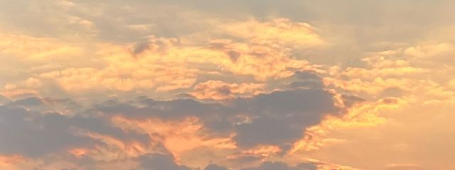 一乃さんの壁紙画像