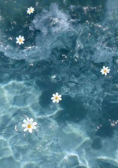 こ っ ち に 来 な い で .ᐟ‪