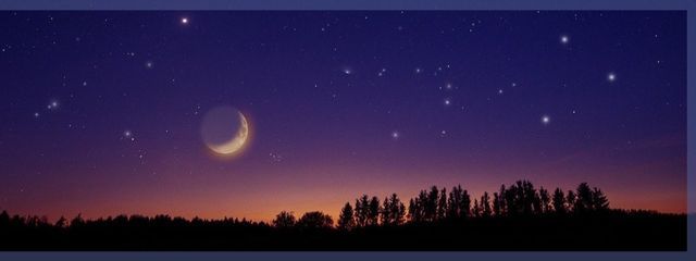 れいさんの壁紙画像