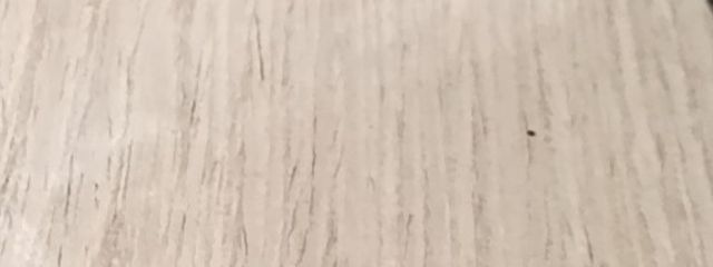 ガわﾘｬま-nu35さんの壁紙画像