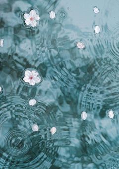 忍たま達と青春・恋愛を💕