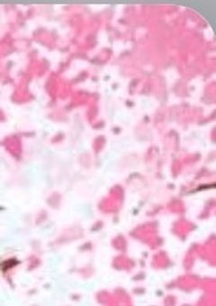 （賽桃愛され)「嫌われていたと思っていたのに実は照れ隠しでした！？」