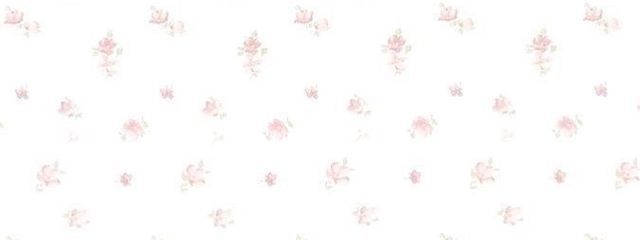 𝐒𝐢𝐚🎀🪽さんの壁紙画像