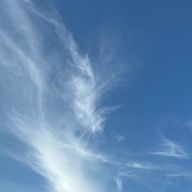 まなつさんのアイコン画像